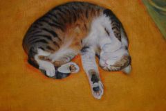 kat3